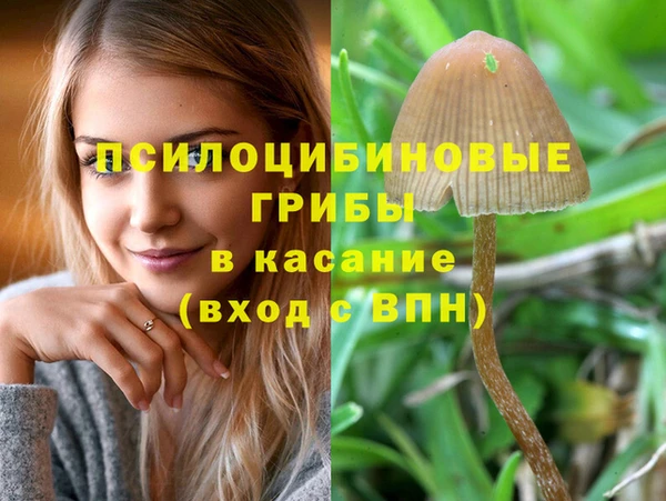 бутират Гусев