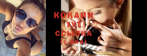 молекула духа Дмитриев