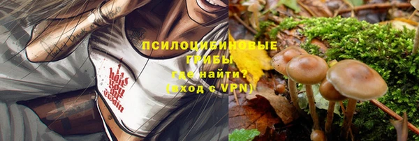 молекула духа Дмитриев